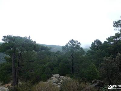 Bosque Plateado de La Jarosa; tienda senderismo madrid tiendas de alpinismo en madrid parques natura